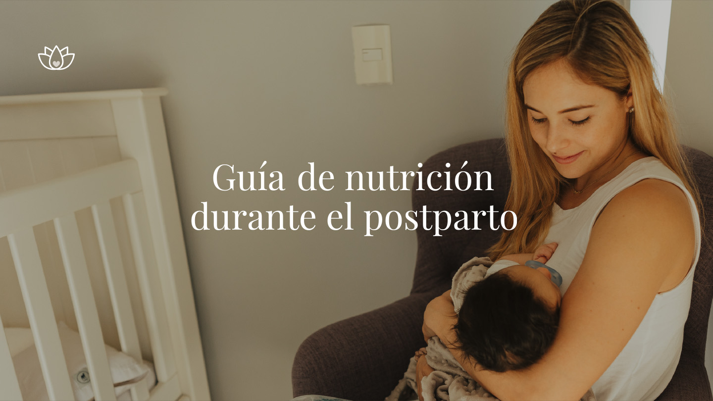 Paquete Guías
